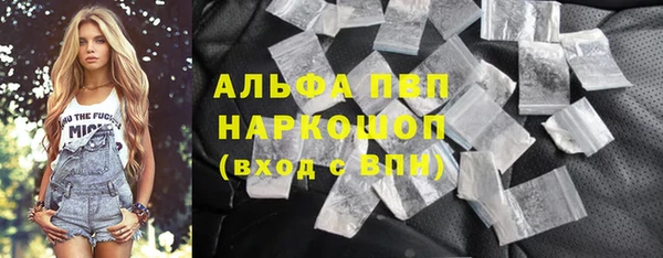 ГАЛЛЮЦИНОГЕННЫЕ ГРИБЫ Осинники