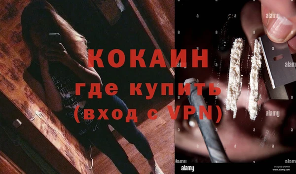 стаф Балахна