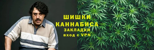 стаф Балахна