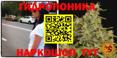 марихуана Будённовск