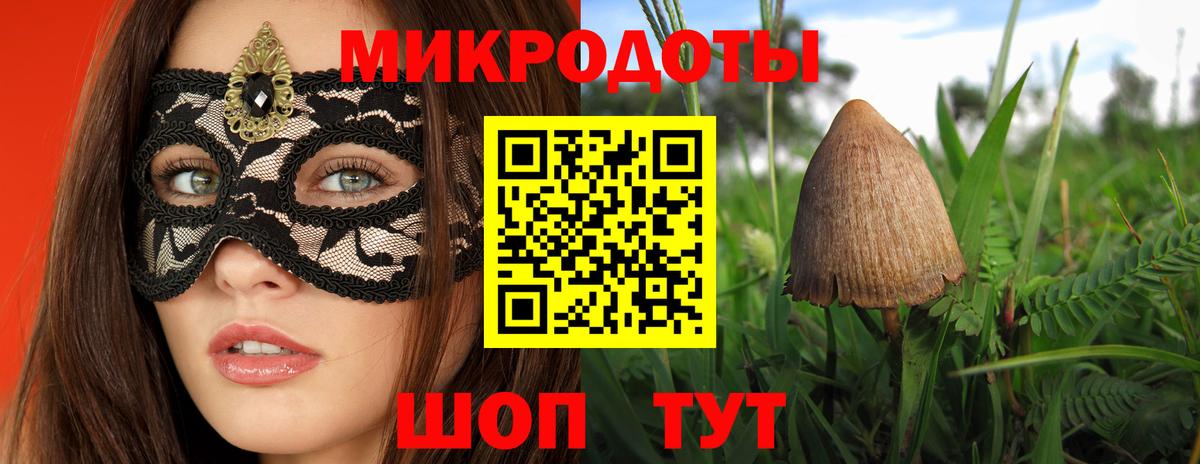 Галлюциногенные грибы Psilocybine cubensis Мурманск